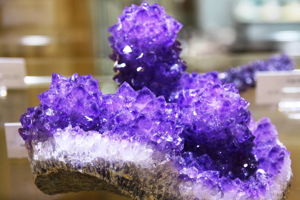 Fewo Purper Frauenberg Extérieur photo